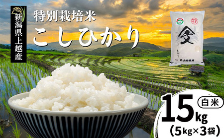 令和7年産 新潟県上越産「 特別栽培米 コシヒカリ 」 白米 15kg（5kg×3袋） 内山農産 こしひかり お米 こめ おすすめ  新潟県産 にいがた 上越 