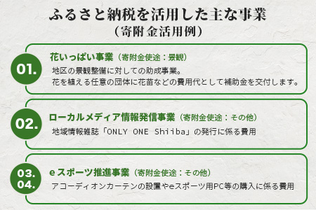 【返礼品なしの寄付】宮崎県椎葉村（1口：50,000円）