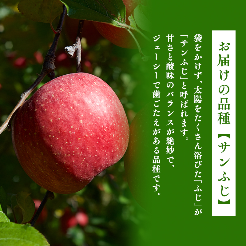 2月 サンふじりんご「特A」約3kg 糖度13度以上 【森山商店・平川市・青森りんご・2月】