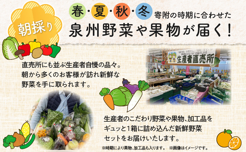10種類の新鮮野菜 定期便 全4回 詰め合わせ 国産 冷蔵発送【毎月配送コース】 099Z185_イメージ3