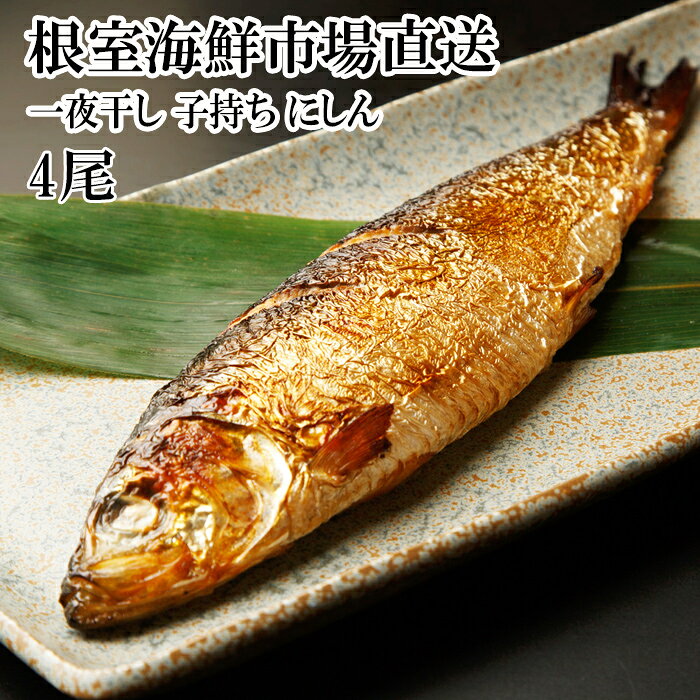 【ふるさと納税】 一夜干し子持ちにしん 選べる 4 ～ 8 尾 ニシン 鰊 一夜干 干物 魚 さかな サカナ お取り寄せ グルメ 海鮮 北海道 根室市 ふるさと納税