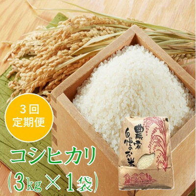 【ふるさと納税】【発送月固定定期便】コシヒカリ 精米 3kg　佐藤全3回【4089320】