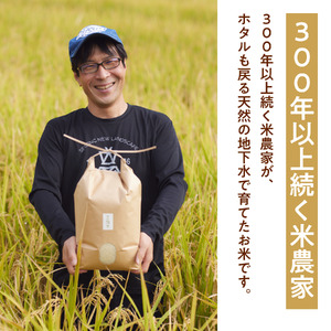 パックごはん白米6個セット：地下水で育てた「金鵄米きんしまい」  9-106