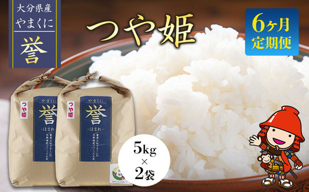 【6ヶ月定期便】【九州米・食味コンクール最優秀賞受賞】令和5年産 大分県中津産やまくに誉 つや姫 5kg×2袋 (毎月1回)   お米 精米 白米 九州産 熨斗対応可 お米 おいしい米 高評価米 中津