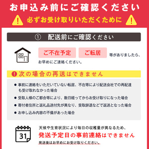 令和8年産 山形県産 白桃 3kg 品種 おまかせ 秀品 山形県産 【2026年8月上旬頃から9月下旬頃発送予定】　014-B-JA048