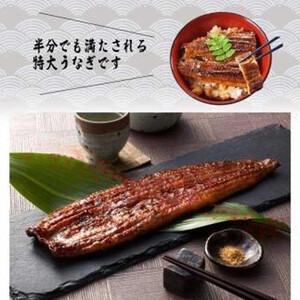 うなぎ蒲焼き2尾入り 480g（蒲焼たれ4袋 山椒付き）