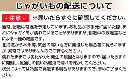 北海道産じゃがいも〈男爵〉10kg・玉ねぎ10kgセット［京極町］ じゃがいも 玉ねぎ 野菜 10kg セット 料理 男爵