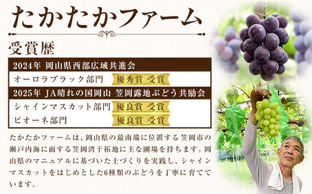 ぶどう シャインマスカット マスカット 2房 1kg 《9月上旬-9月下旬頃出荷》 たかたかファーム ブドウ 葡萄 マスカット 果物 フルーツ ギフト 岡山県 笠岡市