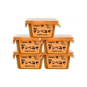 岡山テンペみそ 300g×5個 [No.5220-0620]
