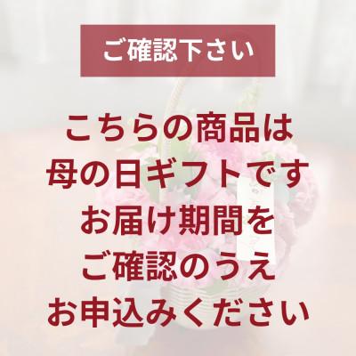 ふるさと納税 小田原市 《母の日限定》カーネーションのブーケ |  | 02