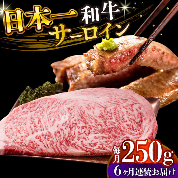 【ふるさと納税】【全6回定期便】【A4〜A5】長崎和牛サーロインステーキ　250g（250g×1枚）【株式会社 MEAT PLUS】[DBS083]