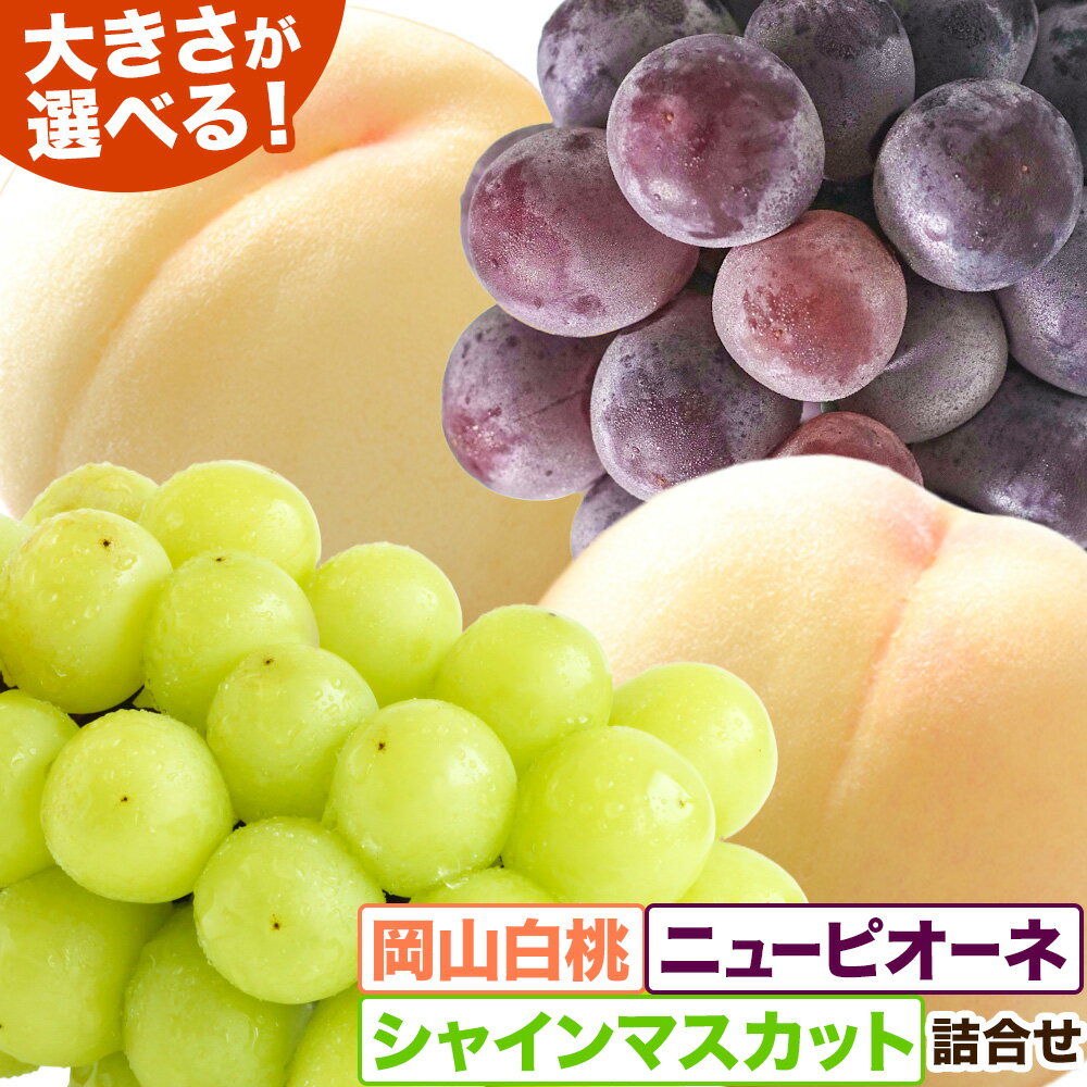 【ふるさと納税】【先行予約】岡山白桃 ＆ シャインマスカット 晴王 ＆ ニューピオーネ セット 選べる サイズ 有限会社ホーティカルチャー神島《7月上旬-8月上旬頃出荷》岡山県 浅口市 白桃 ロイヤル シャインマスカット 桃 もも 晴王 ぶどう 詰め合わせ【配送不可地域あり】