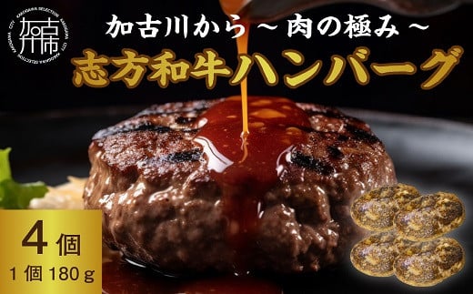 
加古川～肉の極み～志方和牛ハンバーグ《志方和牛 和牛 和牛ハンバーグ ハンバーグ 総菜 おかず 調理済 肉 牛肉 送料無料 》【2401I00623】
