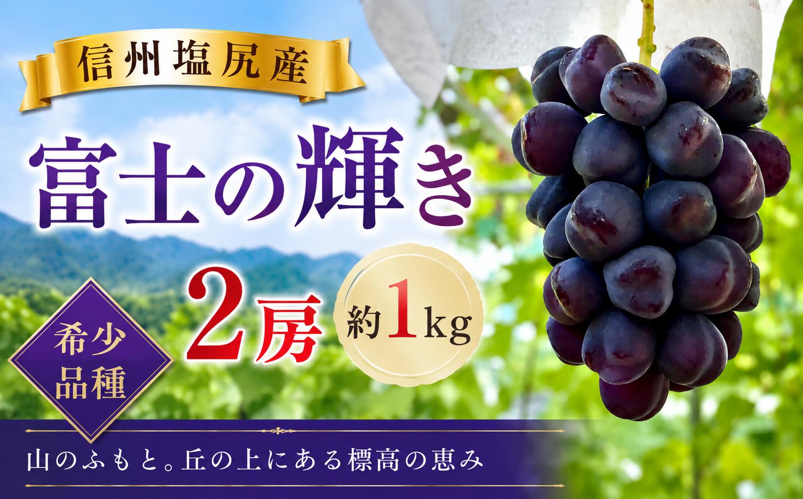 
                  【2026年先行予約】希少品種♪ 信州塩尻産 富士の輝き 2房 約1kg【9月下旬頃～11月初旬にかけて順次発送予定】 ｜ 富士の輝き ブラックシャインマスカット 希少品種 ぶどう 葡萄 フルーツ 果物 YoshieVineyard 塩尻市 長野県 信州
                
