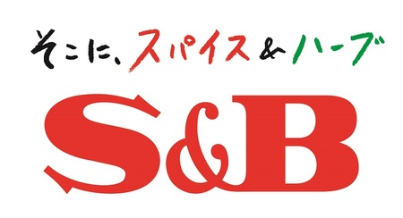 《S&B食品》欧風ビーフカレー　中辛　16食分 (a14-106)