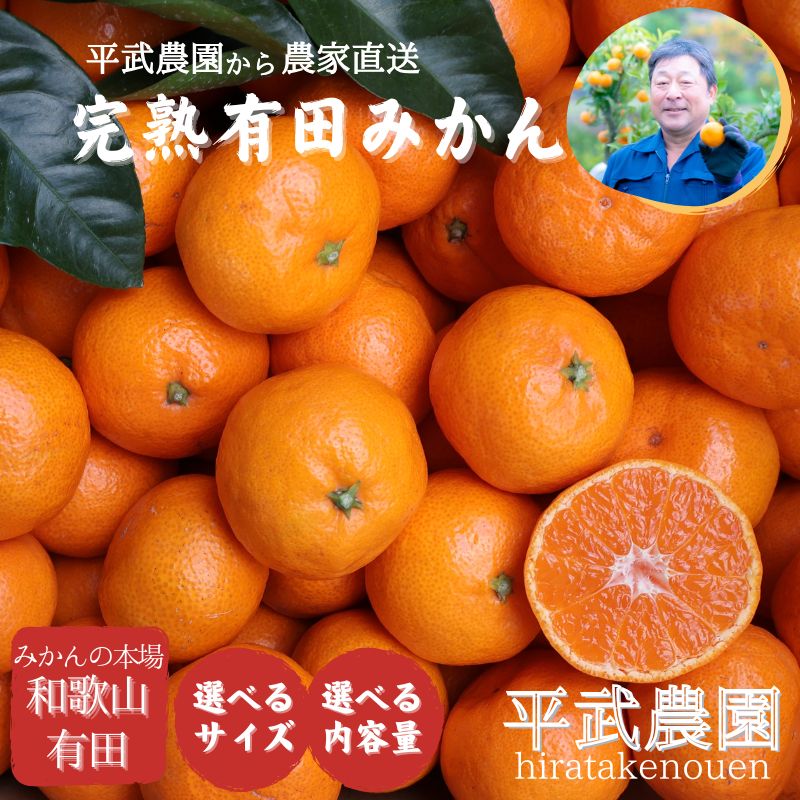 【ふるさと納税】 完熟 有田みかん 農家直送！平武農園 和歌山 有田 田口みかん 蛍飛ぶ町から旬の便り ※12月～翌年2月順次発送予定 / 2kg 3kg 5kg 9kg 10kg 7000円 10000円 温州みかん みかん 柑橘 蜜柑 くだもの 果物 果実 フルーツ //mandarin