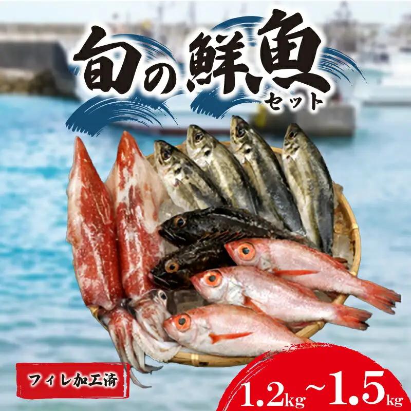 旬の 鮮魚 1.2kg～1.5kg フィレ 加工 処理済 (鮮魚鮮魚鮮魚鮮魚鮮魚鮮魚鮮魚鮮魚鮮魚鮮魚鮮魚鮮魚鮮魚鮮魚鮮魚鮮魚鮮魚鮮魚鮮魚鮮魚鮮魚鮮魚鮮魚鮮魚鮮魚鮮魚鮮魚鮮魚鮮魚鮮魚鮮魚鮮魚鮮魚鮮魚鮮魚鮮魚鮮魚鮮魚鮮魚鮮魚鮮魚鮮魚鮮魚鮮魚鮮魚鮮魚鮮魚鮮魚鮮魚鮮魚鮮魚鮮魚鮮魚鮮魚鮮魚鮮魚鮮魚鮮魚鮮魚鮮魚鮮魚鮮魚鮮魚鮮魚鮮魚鮮魚鮮魚鮮魚鮮魚鮮魚鮮魚鮮魚鮮魚鮮魚鮮魚鮮魚鮮魚鮮魚鮮魚鮮魚鮮魚鮮魚鮮魚鮮魚鮮魚鮮魚鮮魚鮮魚鮮魚鮮魚鮮魚鮮魚鮮魚鮮魚鮮魚鮮魚鮮魚鮮魚鮮魚鮮魚鮮魚鮮魚鮮魚鮮魚鮮魚鮮魚鮮魚鮮魚鮮魚鮮魚鮮魚鮮魚鮮魚