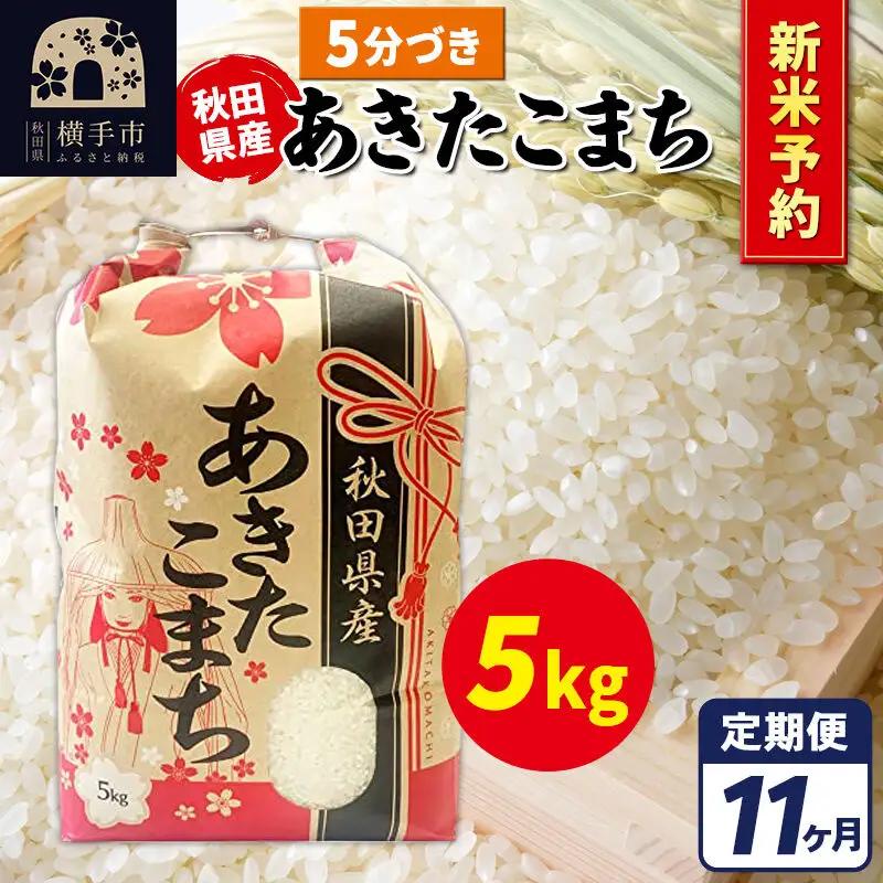 《令和8年産 新米受付》《定期便11ヶ月》あきたこまち 5kg【5分づき】秋田県産 こまちライン