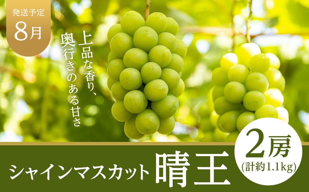 フルーツ 定期便 2024年 先行予約 晴れの国 岡山県産 旬のフルーツ定期便 6回コース 桃 もも 葡萄 ぶどう 梨 なし 岡山県産 国産 セット ギフト [No.5220-1091]