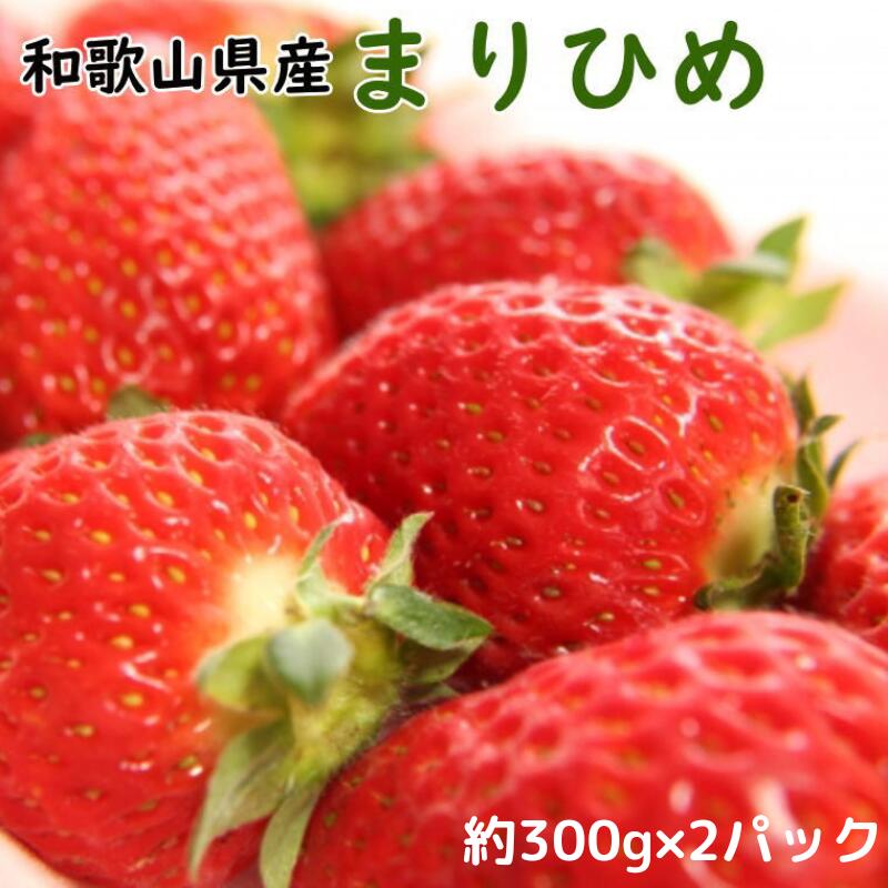 【ふるさと納税】 いちご 和歌山県産ブランドいちご「まりひめ」約300g×2パック入り ※2026年1月中旬～2026年2月下旬頃順次発送（お届け日指定不可）イチゴ 苺 まりひめ 和歌山 オリジナル 甘味 濃厚 ジューシー