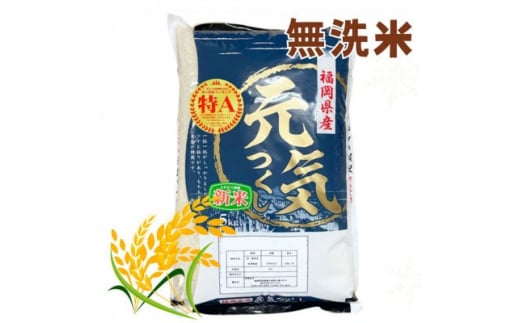 
＜令和5年産＞福岡県産ブランド米「元気つくし」無洗米　5kg【1102879】
