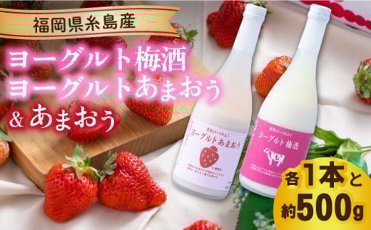 【先行予約】【春】ヨーグルトあまおう＆ヨーグルト梅酒 各720ml×あまおう 約250g×2パック 【2026年2月以降順次発送】 糸島市 / 南国フルーツ株式会社 [AIK019]
