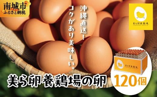 卵の黄身が掴めるほどの新鮮さ 美ら卵養鶏場の卵 120個【順次配送】