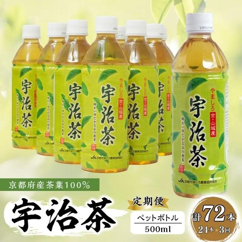 【3回定期便】宇治茶ペットボトル 500ml×24本 お茶ペットボトル