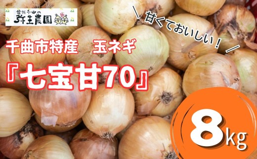 千曲市特産 玉ネギ ｢七宝甘70｣ 8kg | 玉ねぎ たまねぎ 国産 野菜 農家直送 甘い 信州 千曲 長野 長野県