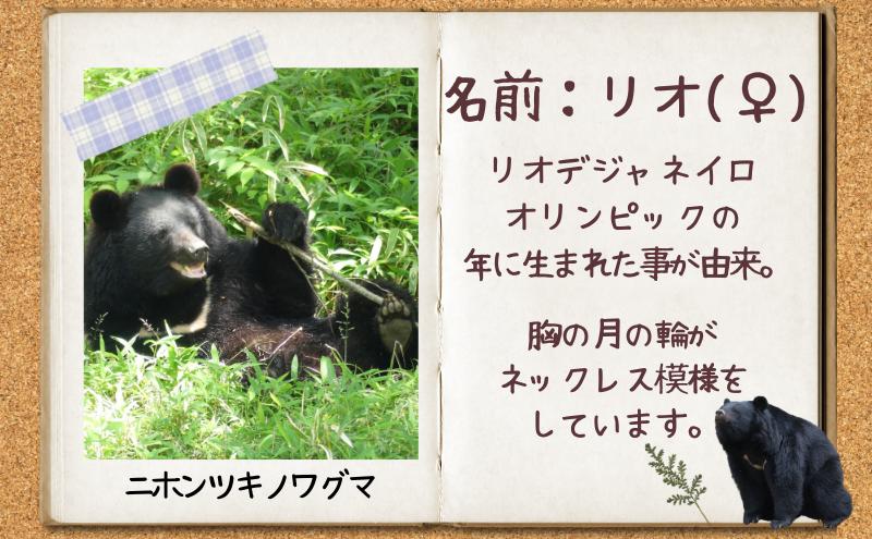 姫とリオの乾杯ビール 2025年ラベル 6本セット ビール 缶 酒 お酒 アルコール 缶ビール