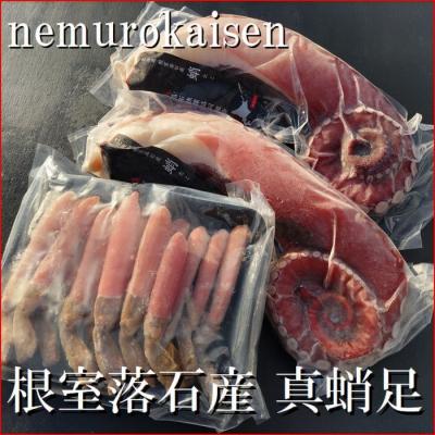 ふるさと納税 根室市 真だこ800g〜1.2kg×2本、本ズワイ500g×1P D-57035