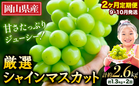 定期便 シャインマスカット 約1.3kg×2回 シャインマスカット