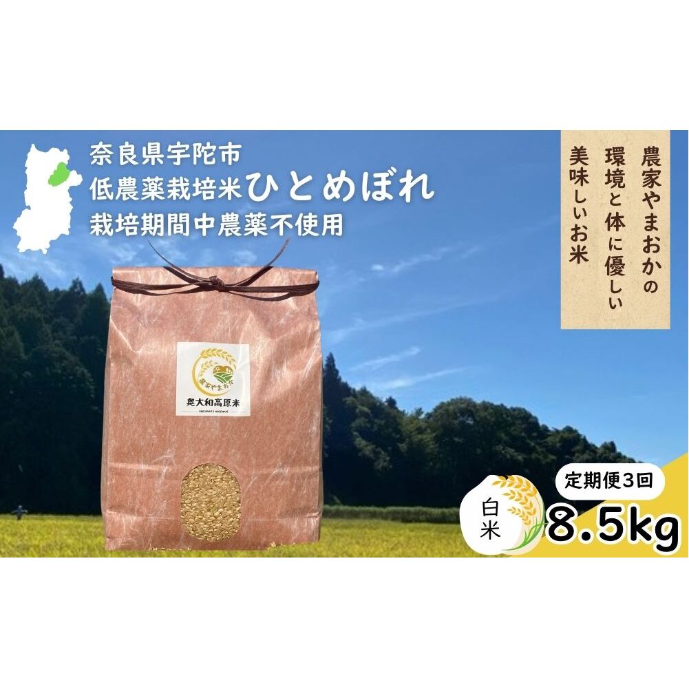 【定期便3回】ひとめぼれ 低農薬栽培＜令和7年産 白米 8.5kg ＞ / ふるさと納税 低農薬 米 お米 こめ コメ 国産 新米 玄米 一等米 農家やまおか 奈良県 宇陀市