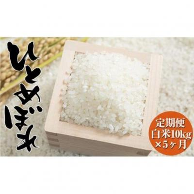 ふるさと納税 陸前高田市 【5ヶ月定期便】令和7年度産 ひとめぼれ 10kg×5ヶ月定期便