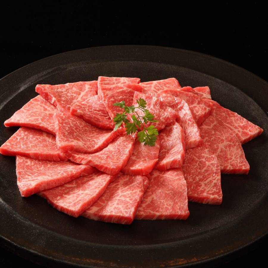 ＜帝神志方ミート＞A5ランク「神戸牛」赤身焼肉用（とうがらし）500g