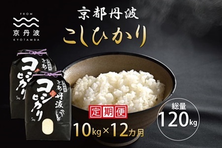 【12カ月定期便】京丹波こしひかり 10kg×12カ月連続 合計120kg 京都 米 精米 コシヒカリ ※北海道・東北・沖縄・その他離島は配送不可 [216MB001R]