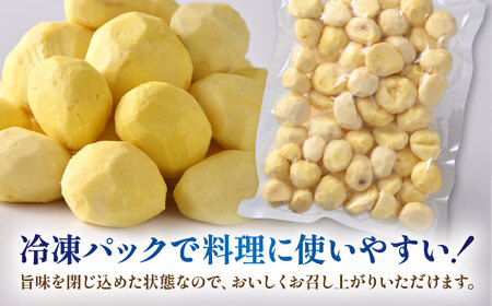 むき栗 約2kg（約1kg×2袋） 【株式会社あんず】[ZBT015]