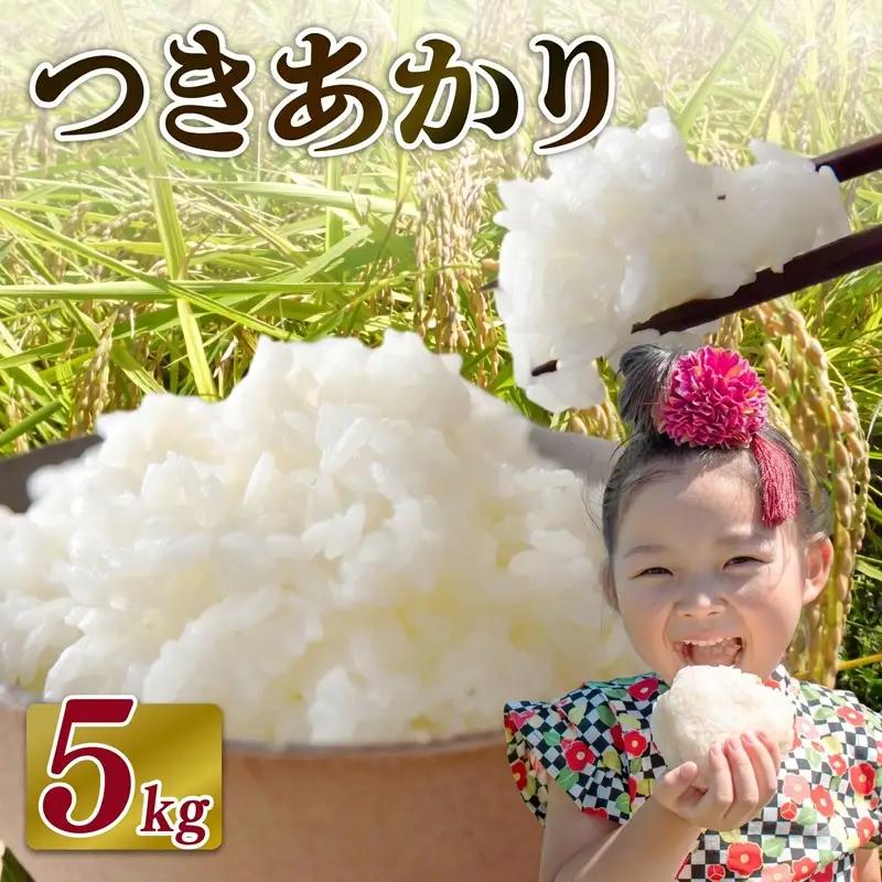 【2026年11月発送】 お米 つきあかり 米 5kg お茶 セット つきあかり 