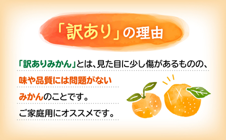 【☆先行予約☆】【 訳あり 】 原口みかん （S～Lサイズ混合） 約5kg   長崎 西海 みかん ミカン 原口みかん 5kg みかん ＜横坂農園＞ [CFW002]