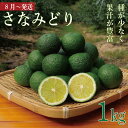 【ふるさと納税】 すだち 徳島 1kg さなみどり 8月から発送 先行予約 スダチ さんま 焼き 魚 定食 こめ 米 野菜 果物 みかん 柑橘 フルーツ 果物 食品 人気 おすすめ 徳島 送料無料 なし 健康 ビタミンC クエン酸 徳島県