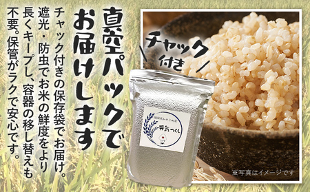 福岡県 みやこ町産 元気つくし （玄米） 5kg 【期間限定】 米 チャック付き チャック 真空パック 防虫 ごはん おにぎり おやつ 福岡県 福岡 九州 グルメ お取り寄せ