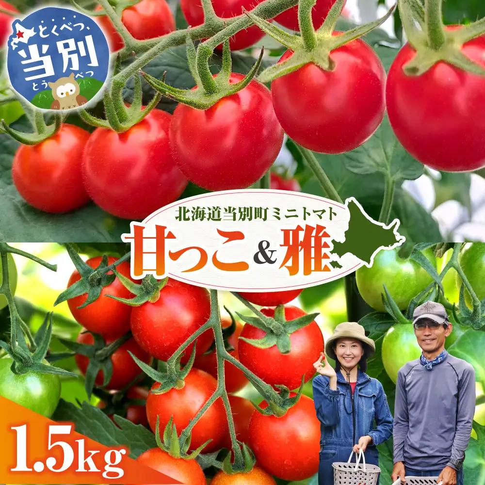 北海道当別町産化学農薬不使用ミニトマト：甘っ子 750g 雅 750g 計1.5kg 北海道産 トマト 野菜 大容量 北海道 当別町