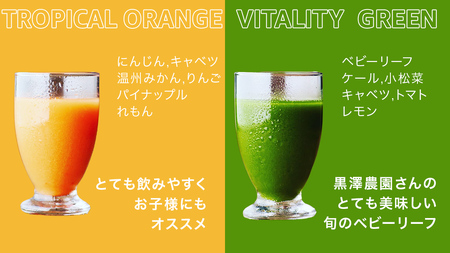 【1日ファスティングに最適】1day fasting コールドプレスジュース 6本セット 360ml×6種