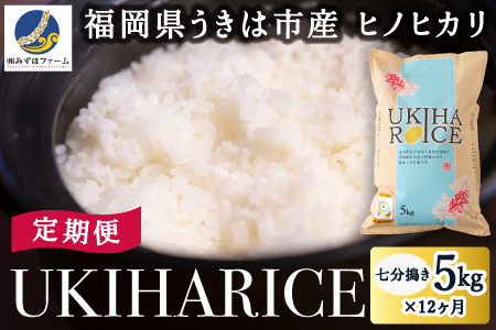 【12ヶ月定期便】みずほファーム UKIHA RICE (七分搗き5kg×12ヶ月)  【2025年11月より順次発送予定】 米 ヒノヒカリ お米 ご飯 うきは市