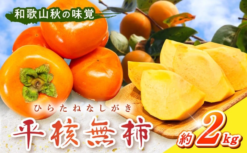 
                  G7109_【2026年 先行予約】和歌山秋の味覚 平核無柿（ひらたねなしがき）約2kg 化粧箱入	
                