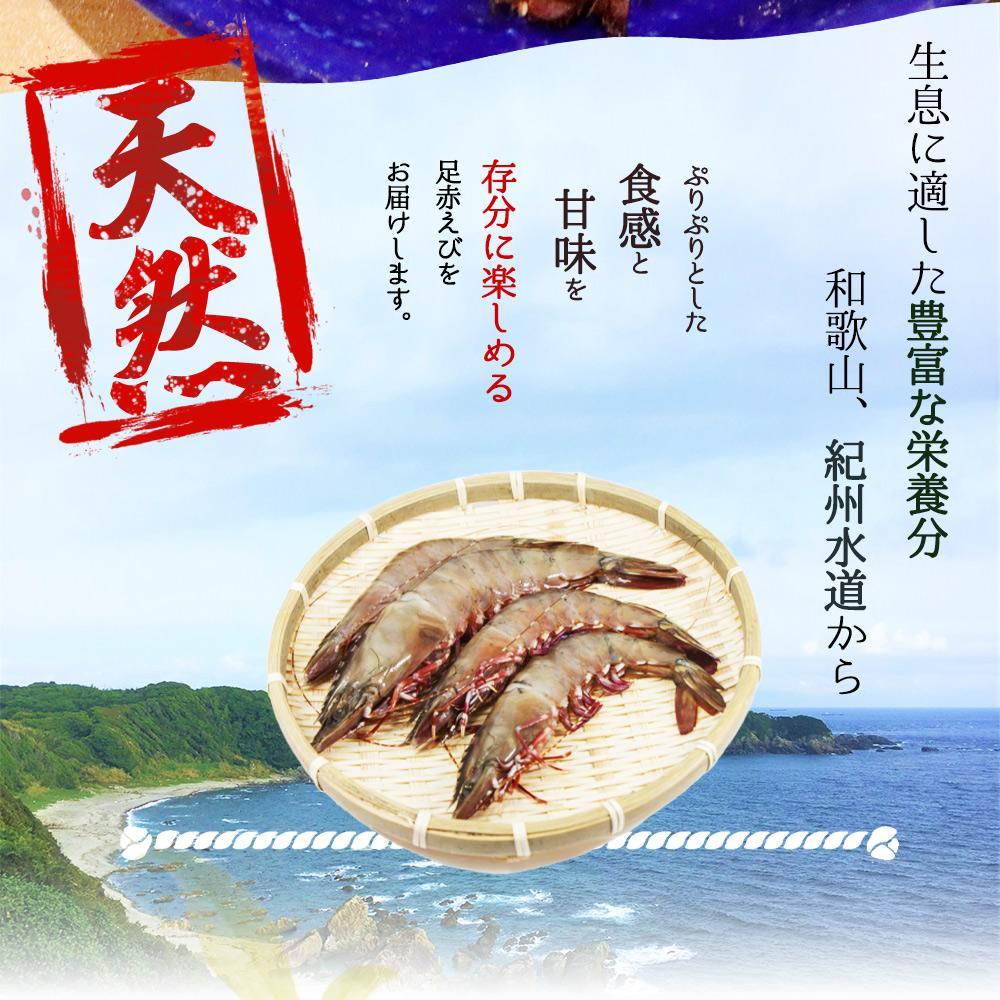 紀州和歌山産天然足赤えび540g×2箱（270g×4パック）　化粧箱入【2025年11月末頃から2026年2月上旬頃に順次発送】【UT24】