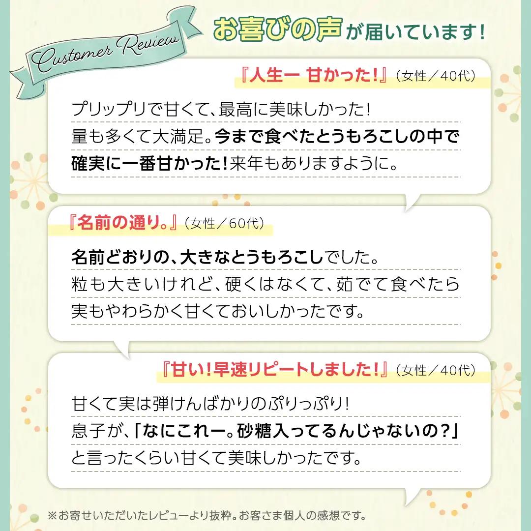 とうもろこし 6kg おおもの 朝採り 農家直送 【 先行予約 2026年7月中旬以降発送】
