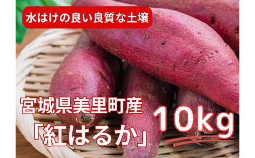 甘くてしっとり★さつまいも(紅はるか)10kg