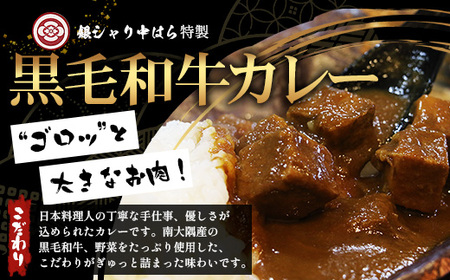 ［2種類］＼日本料理人の手作り／ 鹿児島県産 黒毛和牛レトルトパック 2種セット ≪合計6パック≫ カレー（240g×3パック）/ミートソース（240g×3パック）GN-9｜鹿児島県 南大隅町 あたた