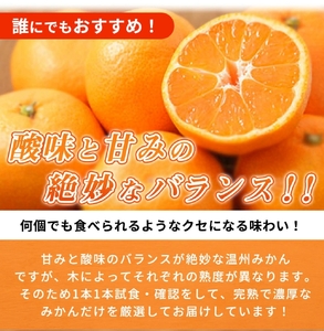 【2026年11月下旬より発送】秀品 有田みかん 2kg 2S～Lサイズのいずれか_G7343